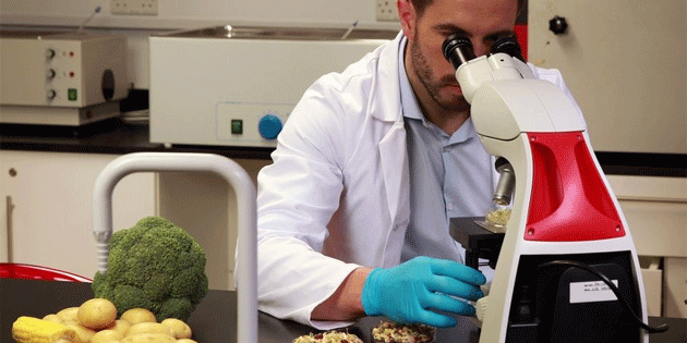 Haftalık gıda denetim sonuçları