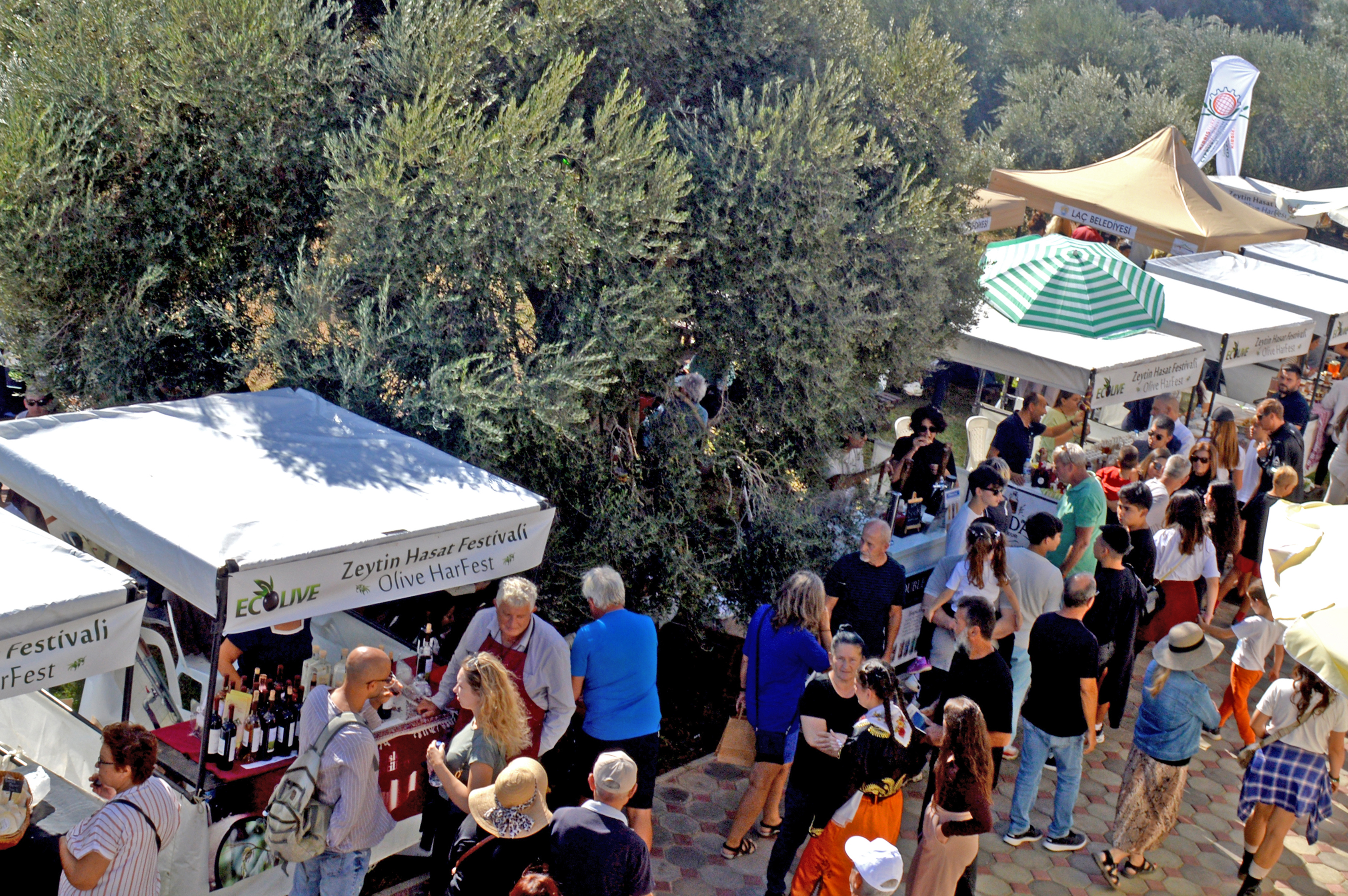 1761221597938 D S C 0852