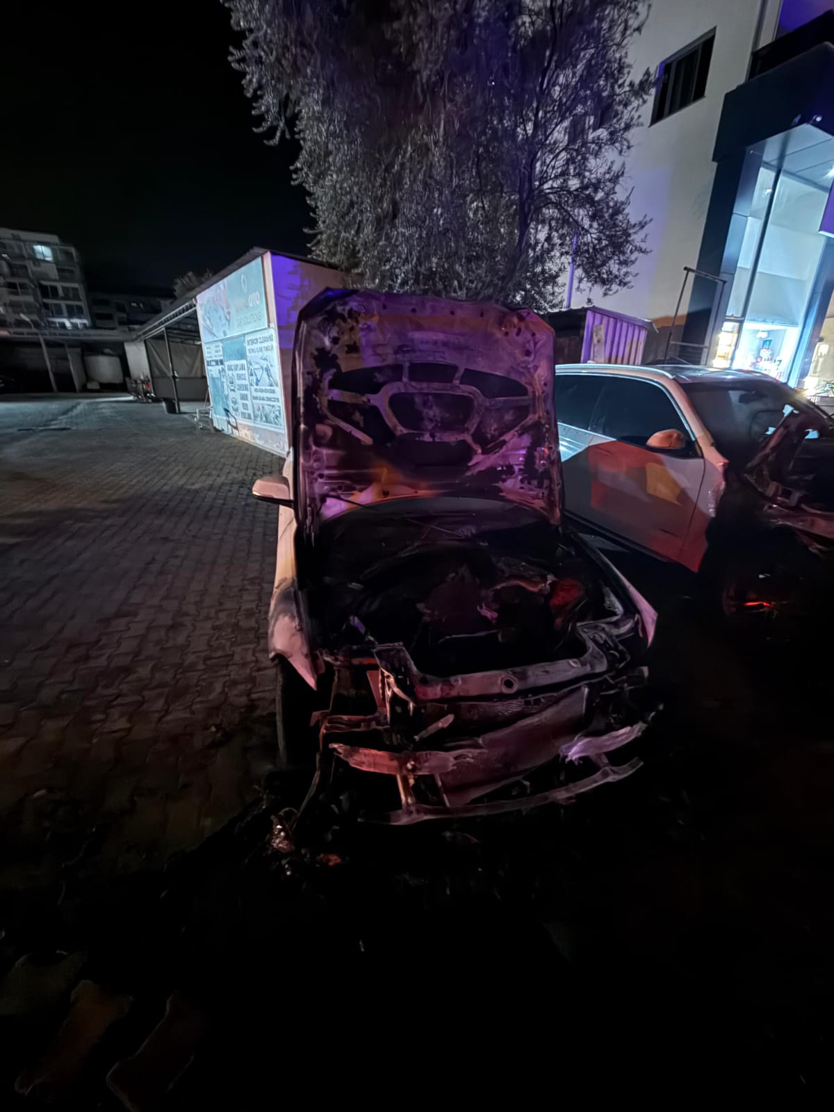 17639804295539F4Ed016 2Ee9 4527 9081 1E1D4A4Bc1D4