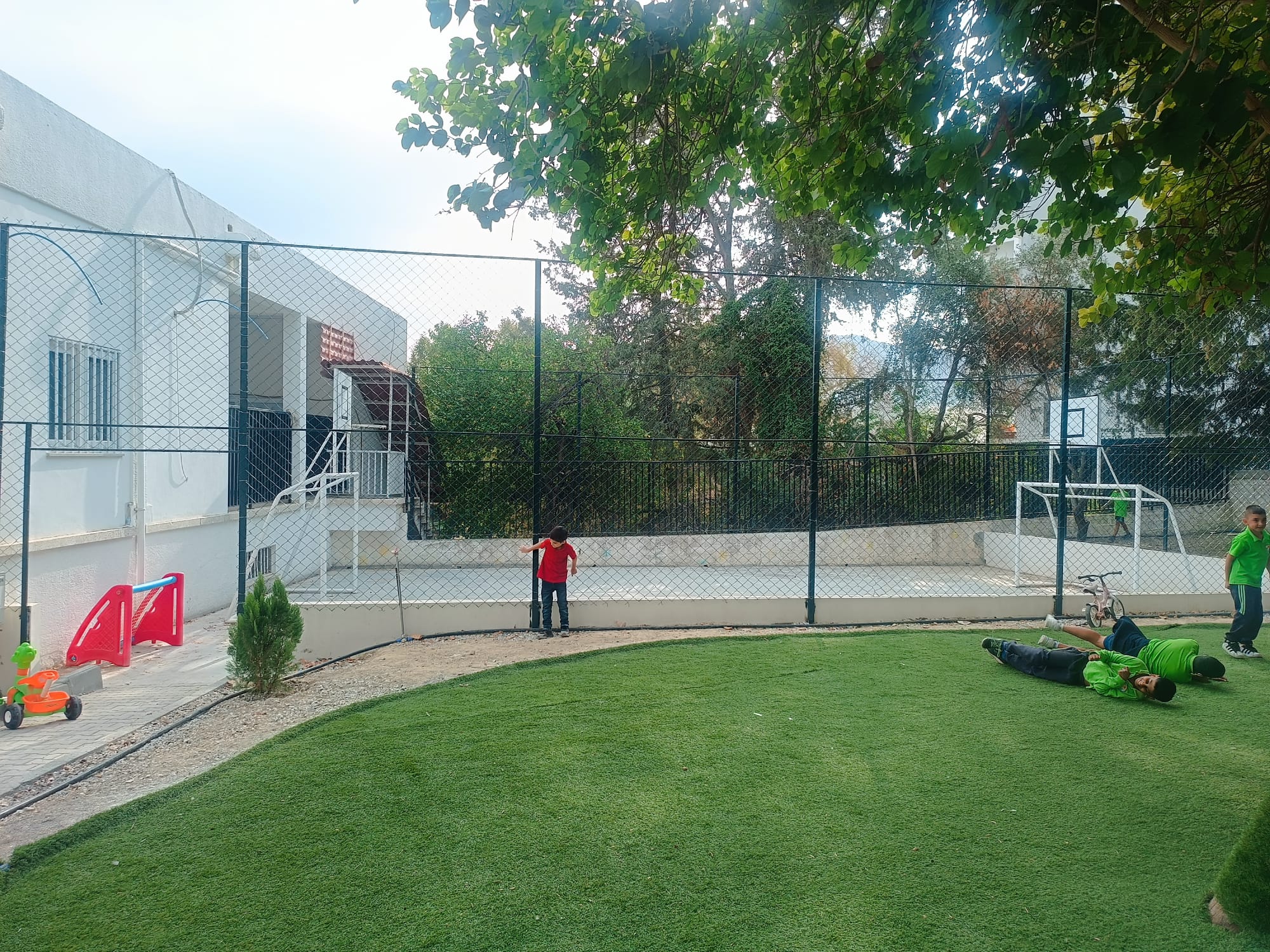 6Ceb8850 E70E 479C Bfe5 F395Efc38221