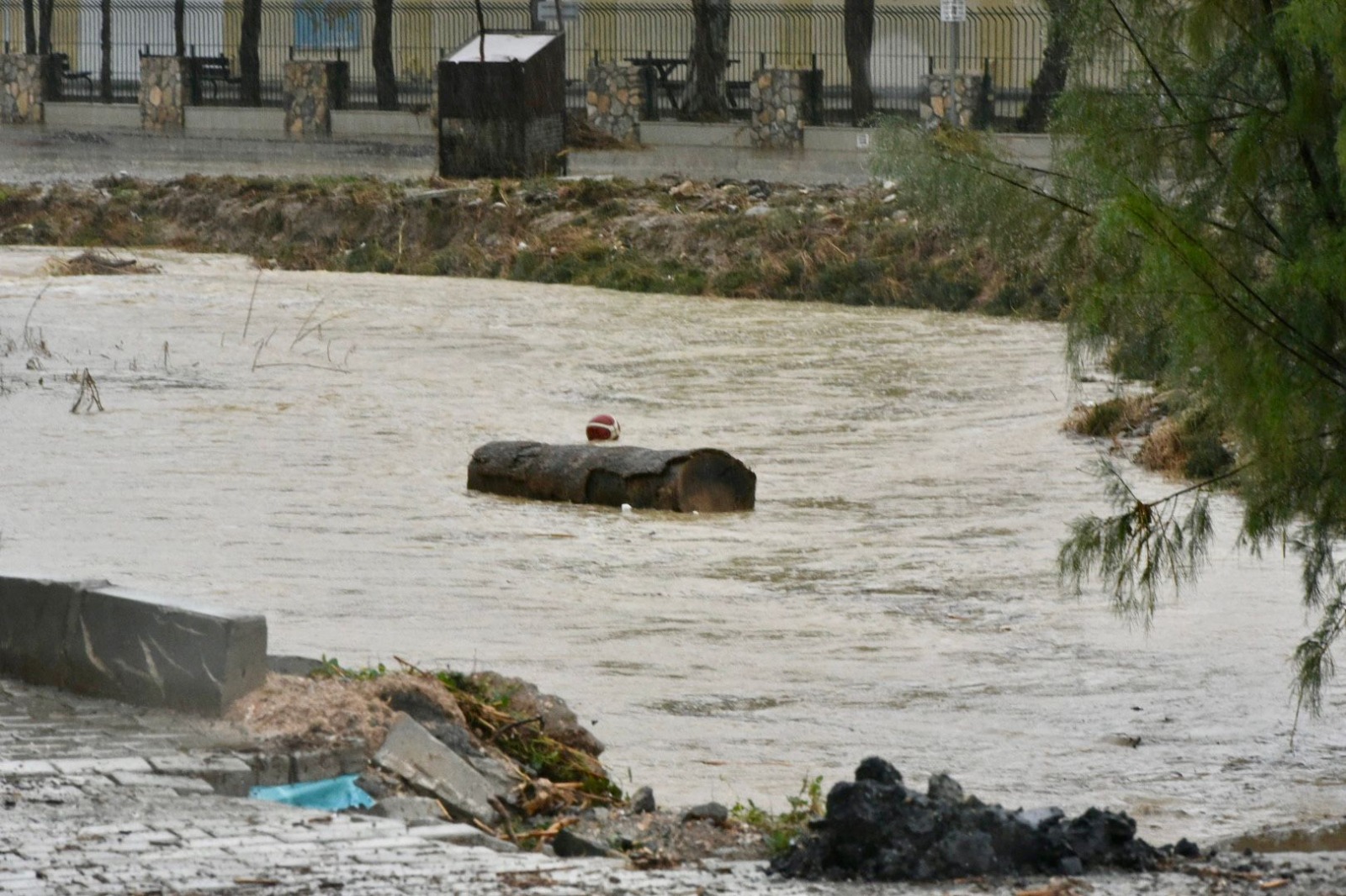 1765360145713Yağmurlar (Ti̇m) 2