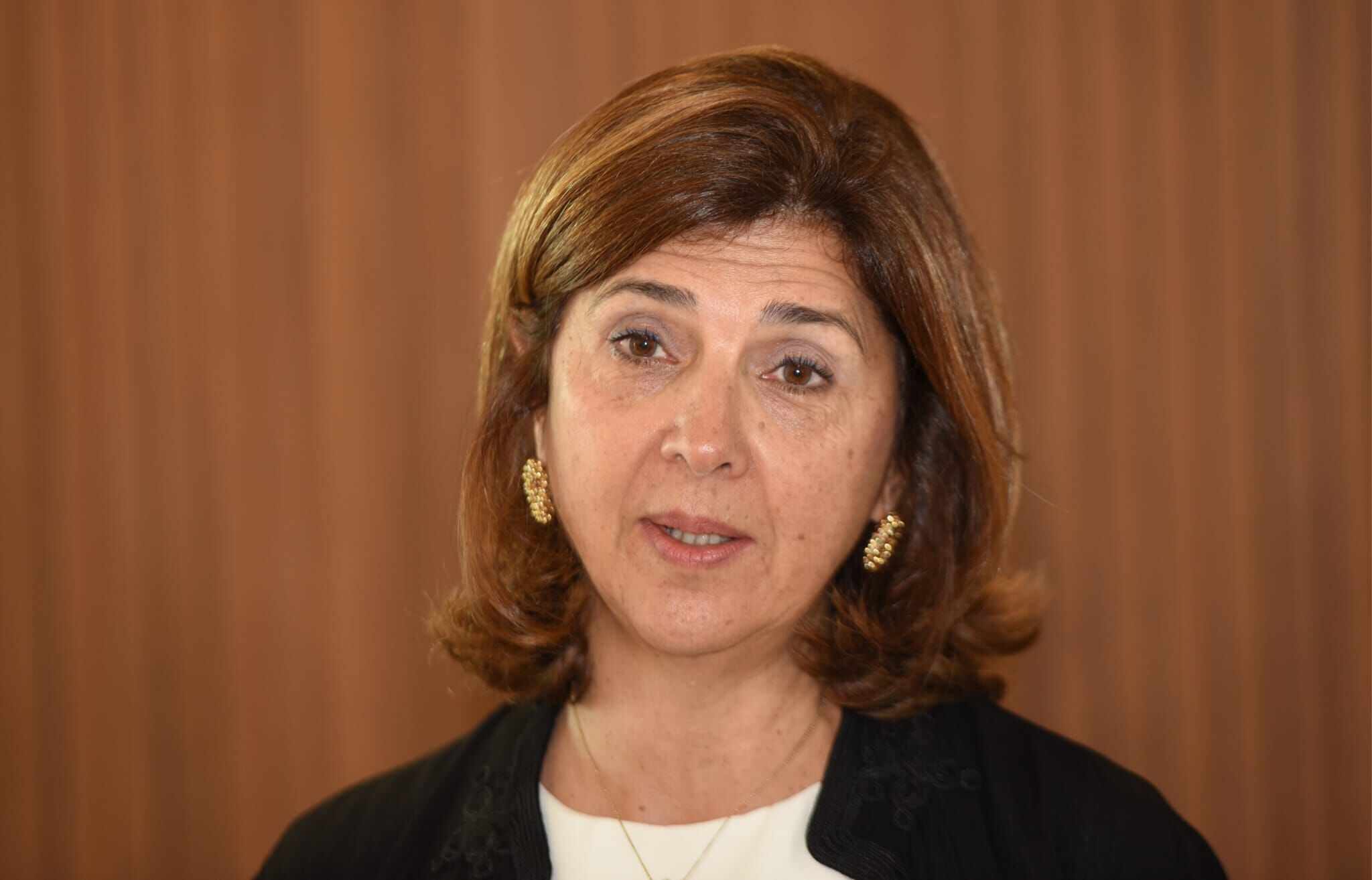 Holguin: “Kıbrıs’ta ilerleme için fırsat penceresi giderek kapanıyor”