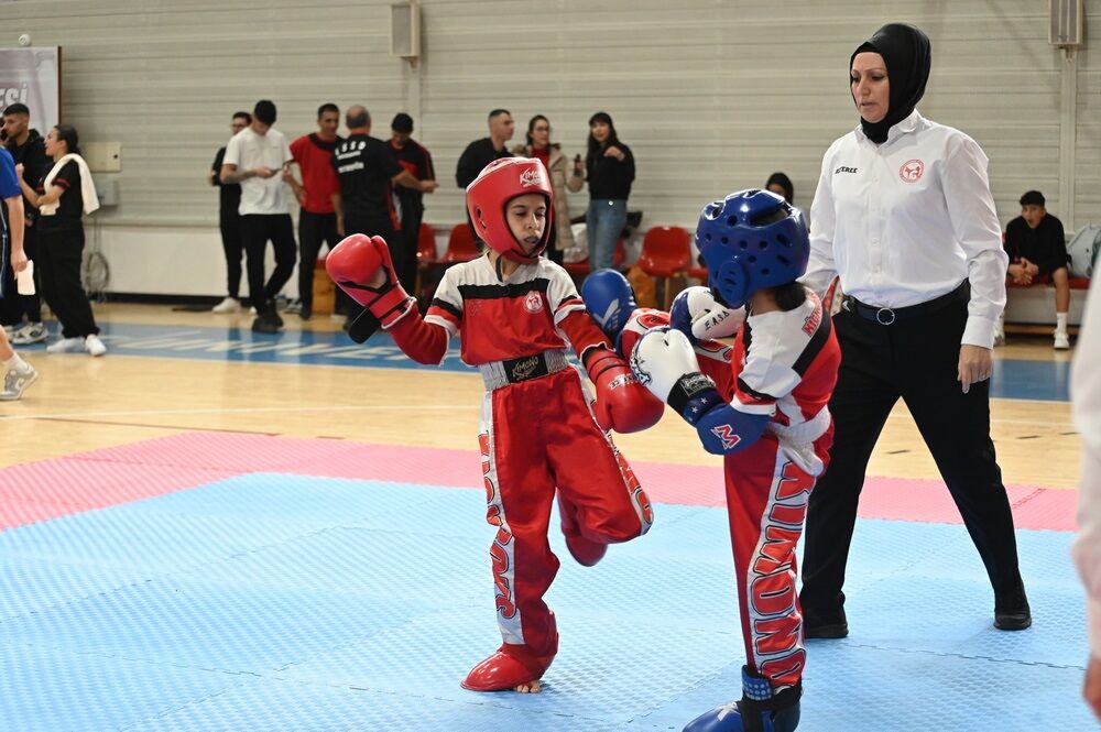 Kickboks1-1