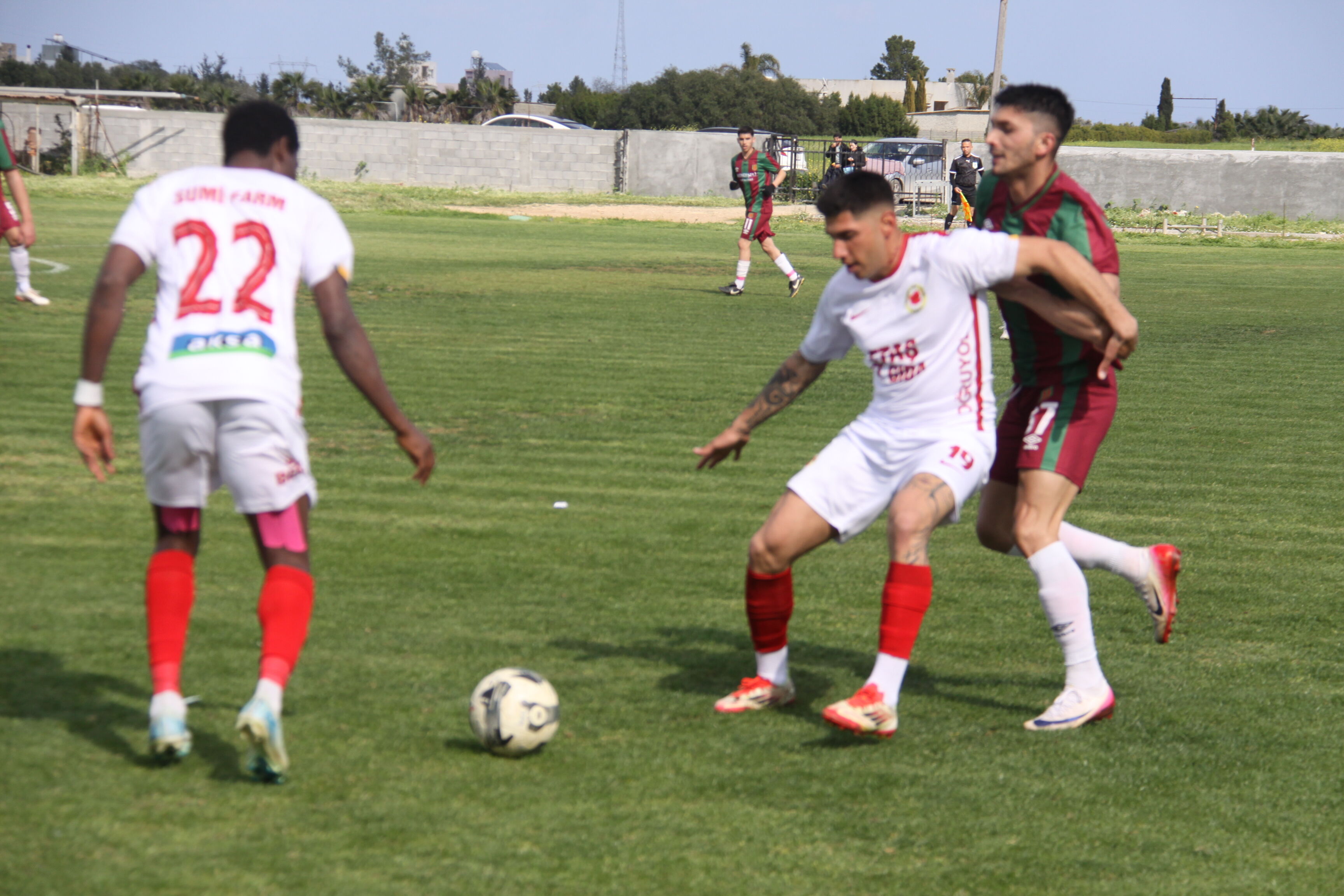 Mormenekşe Mesarya (2)