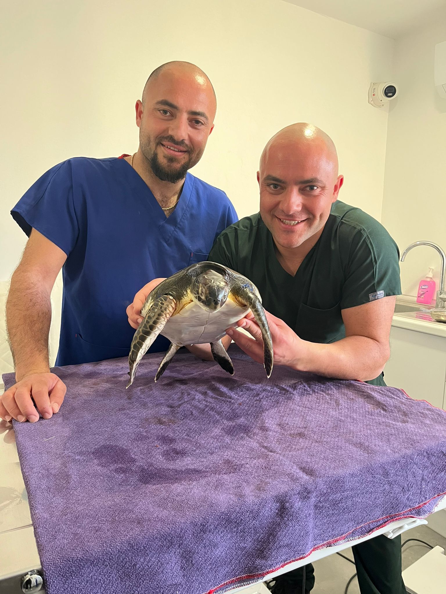 Özkay Belgi Nasiboğlu