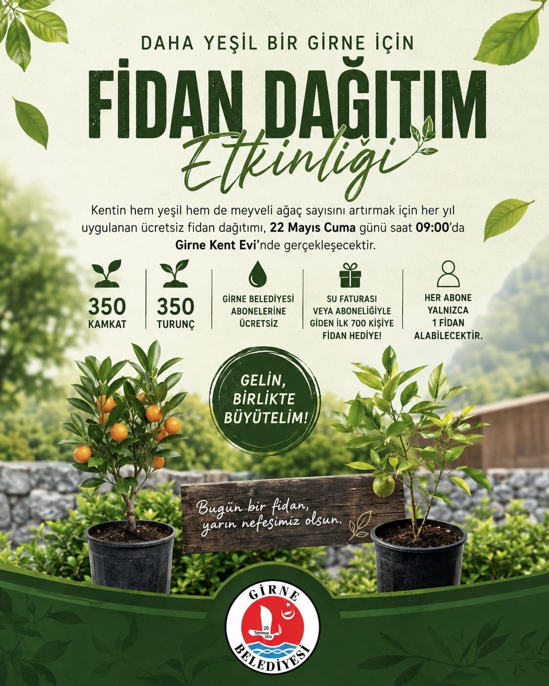 Fidan Dağıtımı