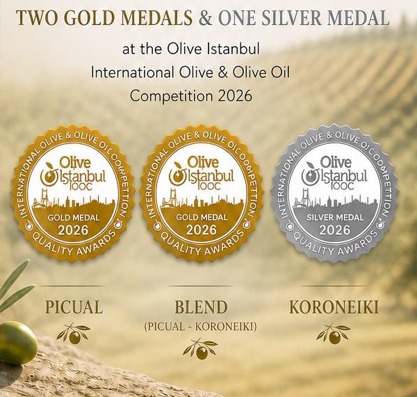 Oliva Gardens, İstanbul'daki uluslararası yarışmadan 3 ödülle
