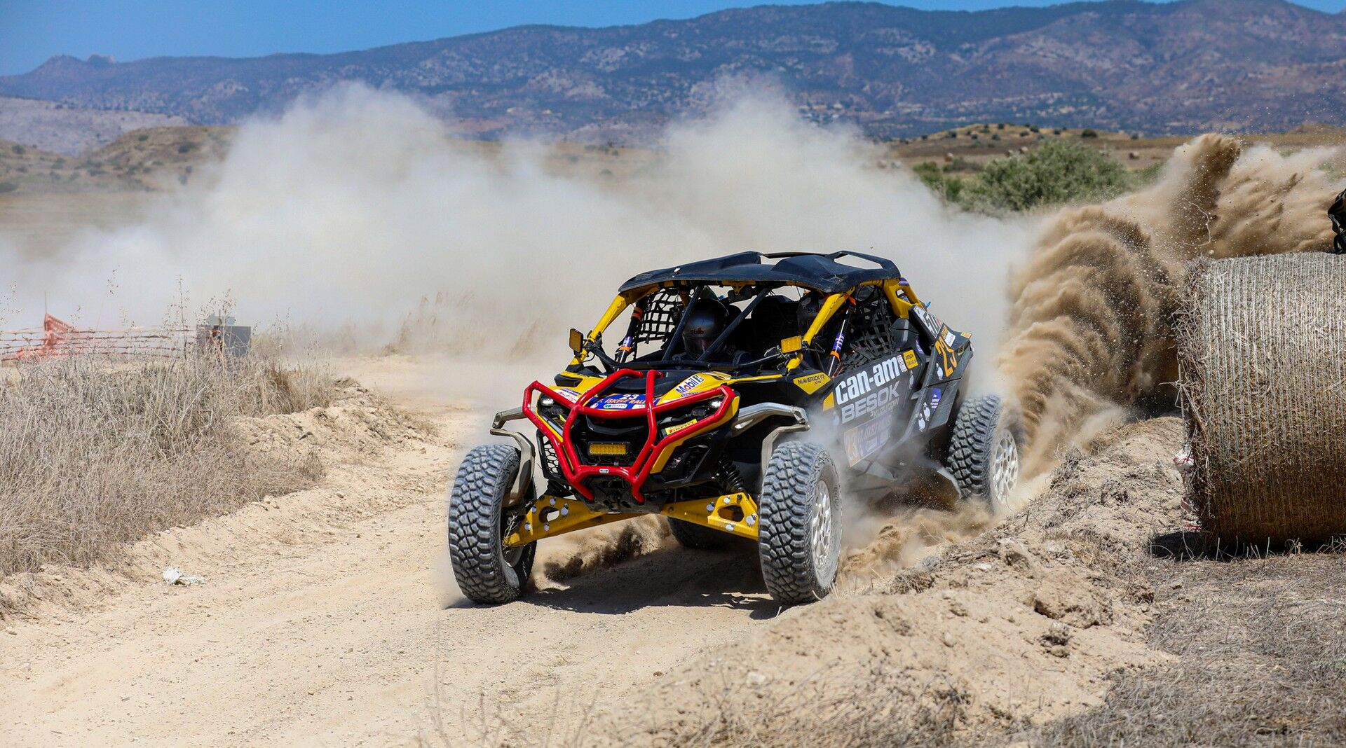 Ralli (2)-6