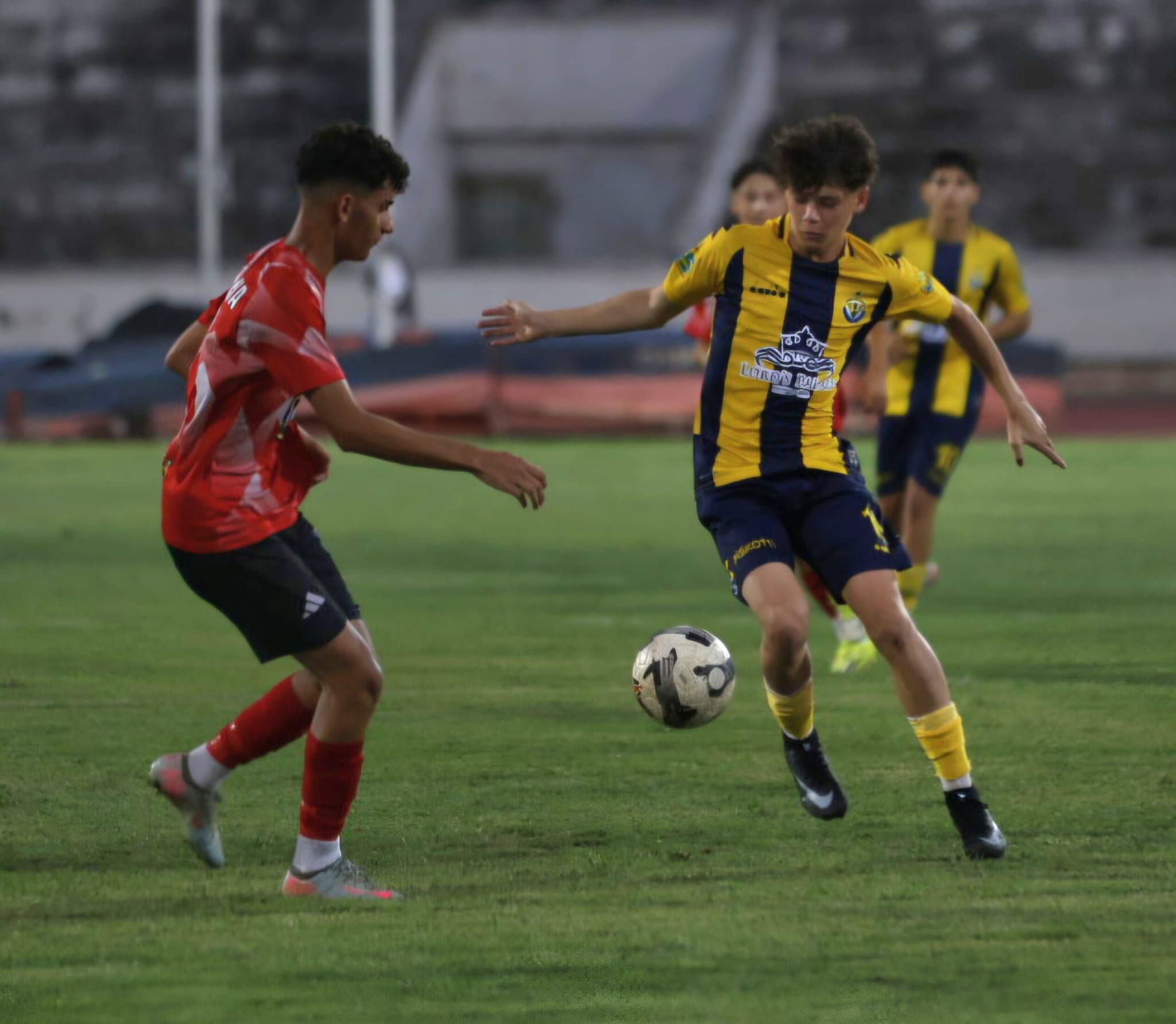 Doğan2-8