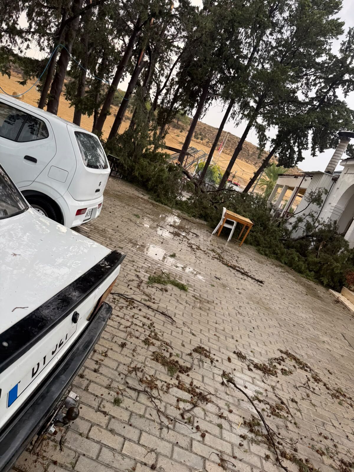 Şi̇ddetli̇ Firtina Zarara Neden Oldu 4