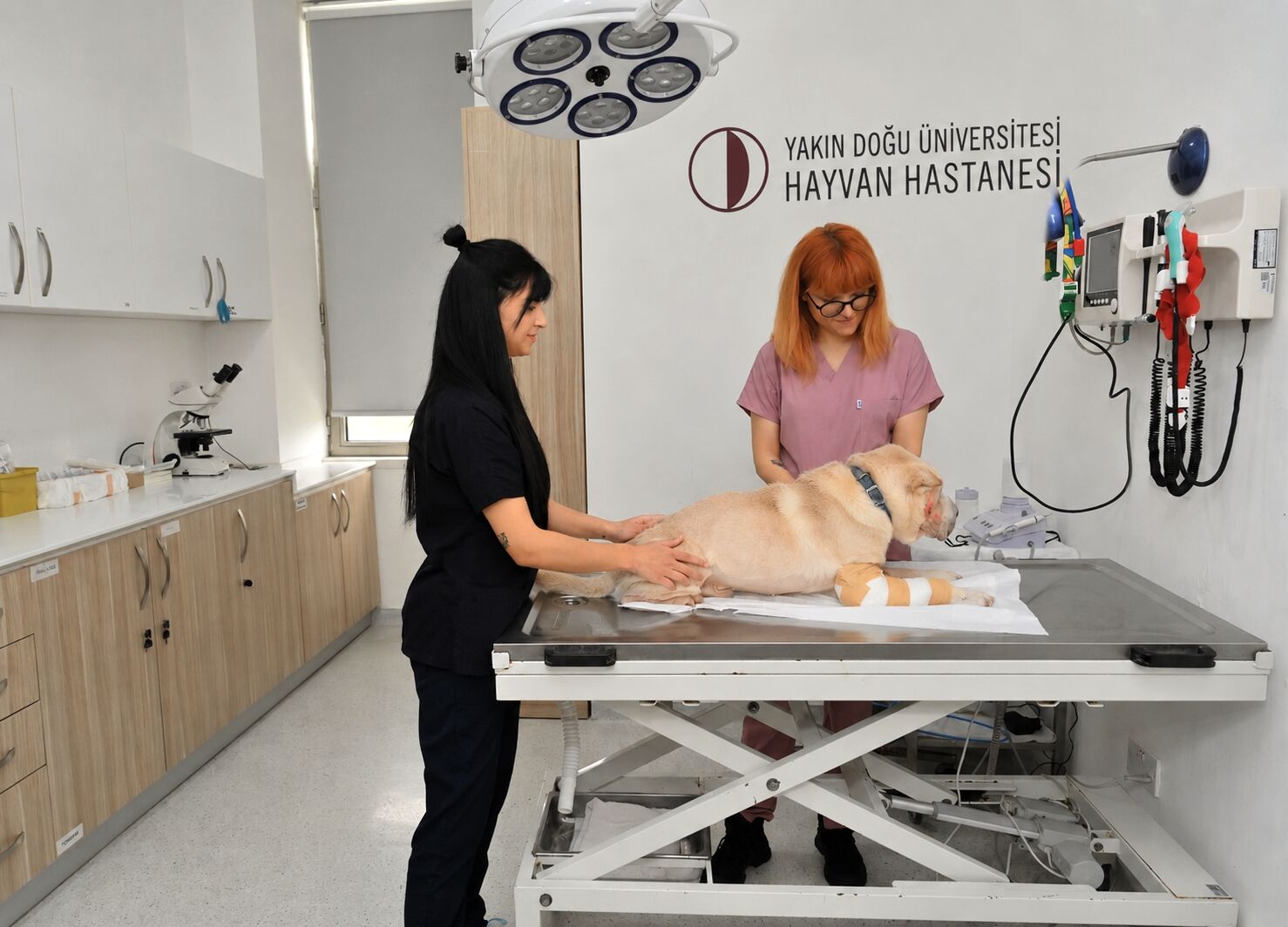 Hayvan Hastanesi