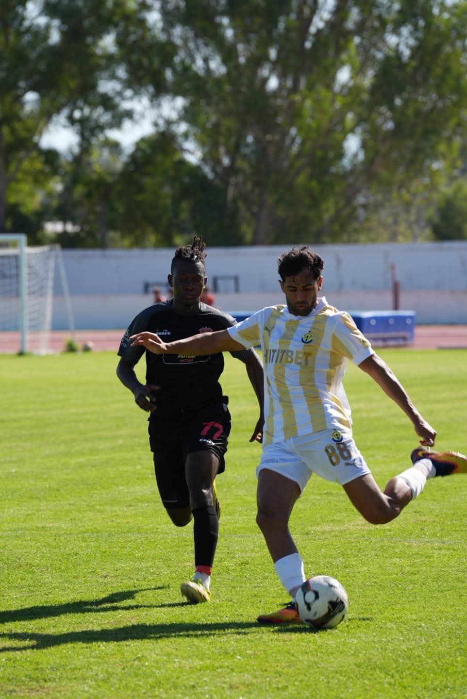 Doğan1-23