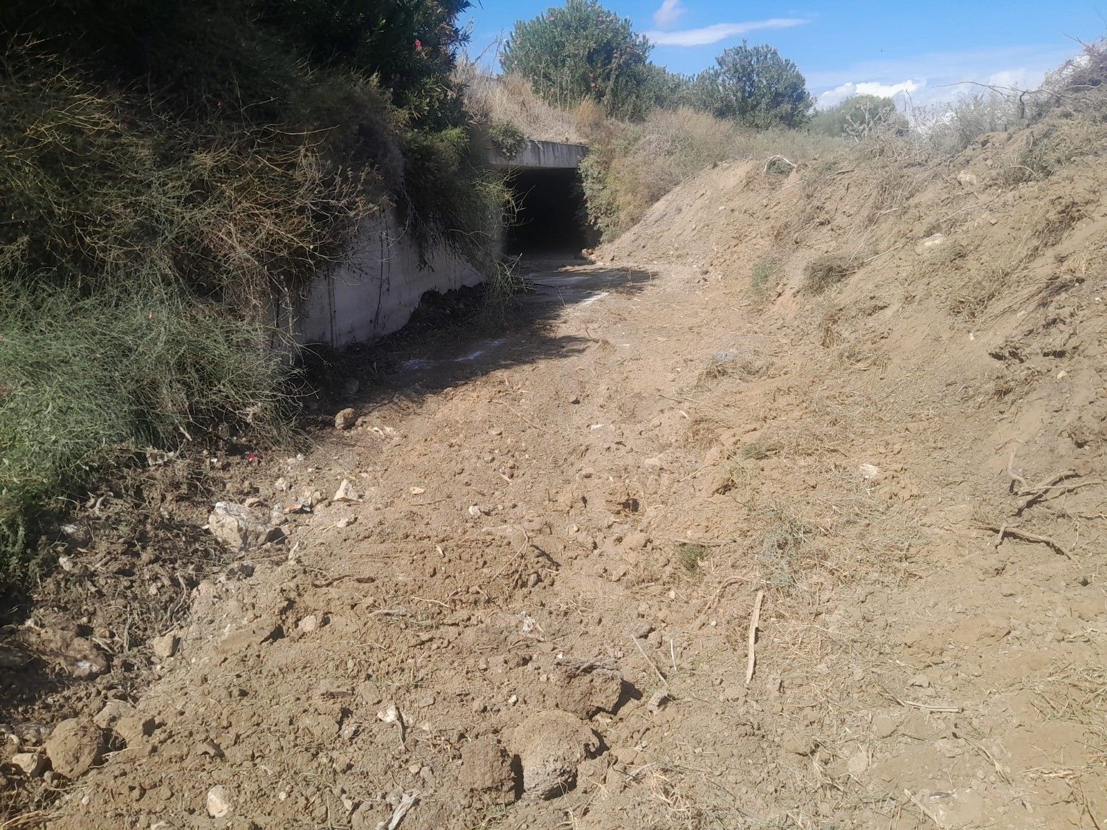 Mesarya1-16