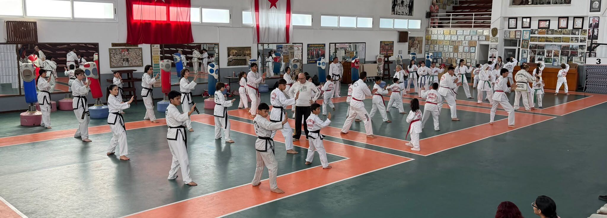 Taekwondocular Kaysu anısına yarıştı